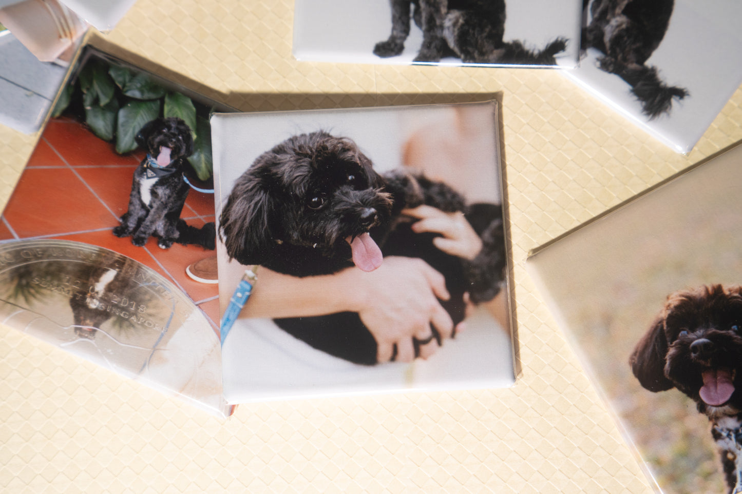 Custom Photo Magnets (Set of 9)