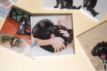 Custom Photo Magnets (Set of 9)